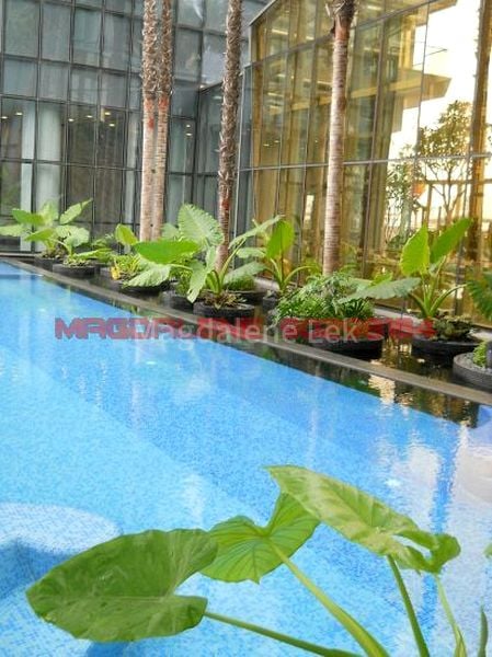 2 Bed Condo for Rent in  One Shenton - Image 6