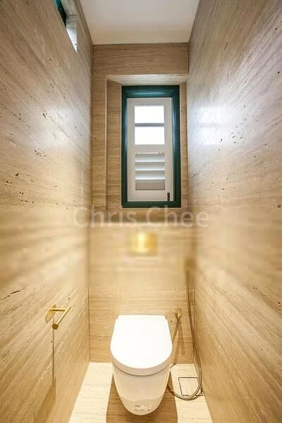 Shop / Shophouse for Sale: FREEHOLD Shophouse, Chinatown - Image 5