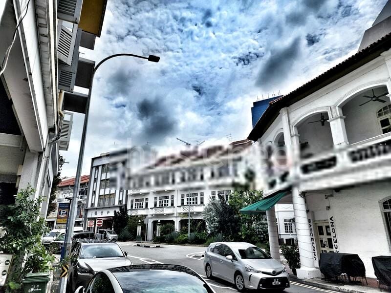 Shop / Shophouse for Sale: FREEHOLD Shophouse, Chinatown - Image 9