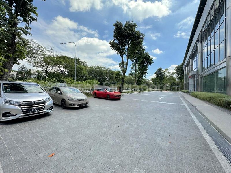 Large Warehouse with High Ceilings in Central Singapore, Bukit Timah. - Image 1