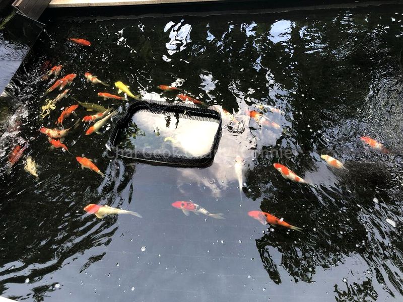 3 Bed Condo for Rent in  Eden Residences Capitol - Image 17