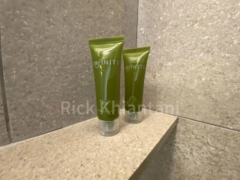 Room (Condo) for Rent in  2 Mount Elizabeth Link - Image 14