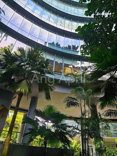 e-Business for Rent: Fitted Office, Heart of One-North - Image 4