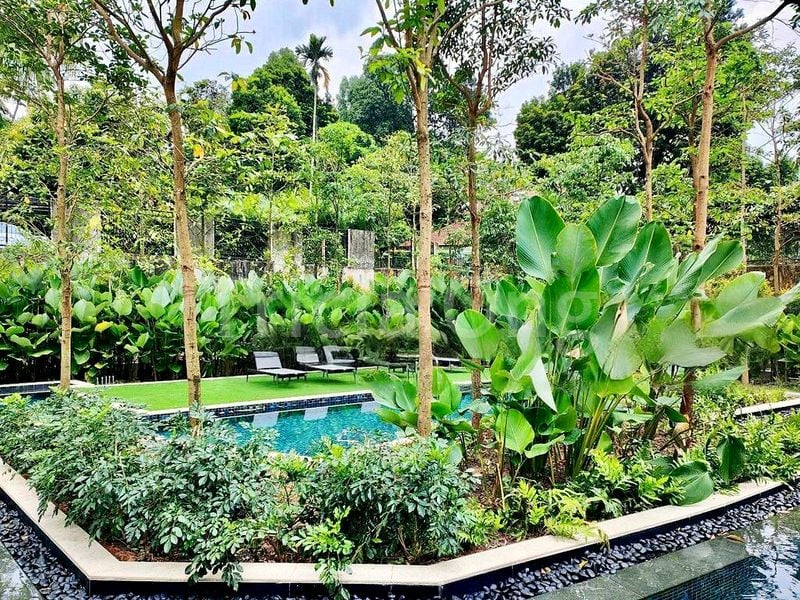 1 Bed Condo for Rent in  Mayfair Gardens - Image 6