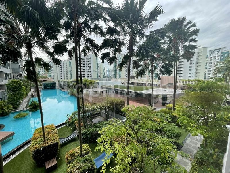 Common Room (Condo) for Rent in Nine Residences - Image 8