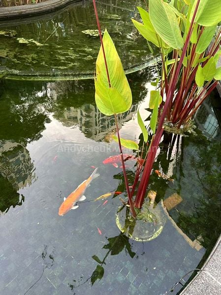 Common Room (Condo) for Rent in  Water Place - Image 5