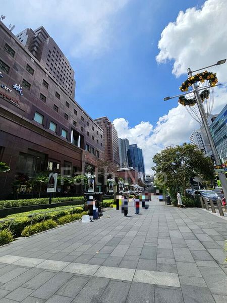 Office for Rent: Orchard Road - Image 2