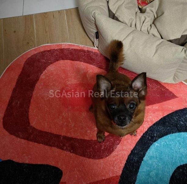 Room (Condo) for Rent in  Orchid Park Condominium - Image 11