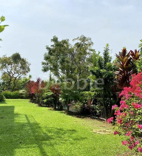 10 Bed Bungalow (Landed) for Sale in Bukit Tunggal Road - Image 5