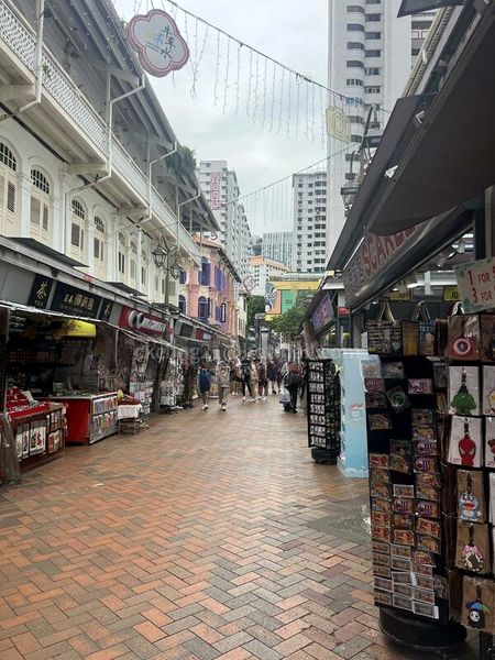 Shop / Shophouse for Sale: Sago Street - Image 3