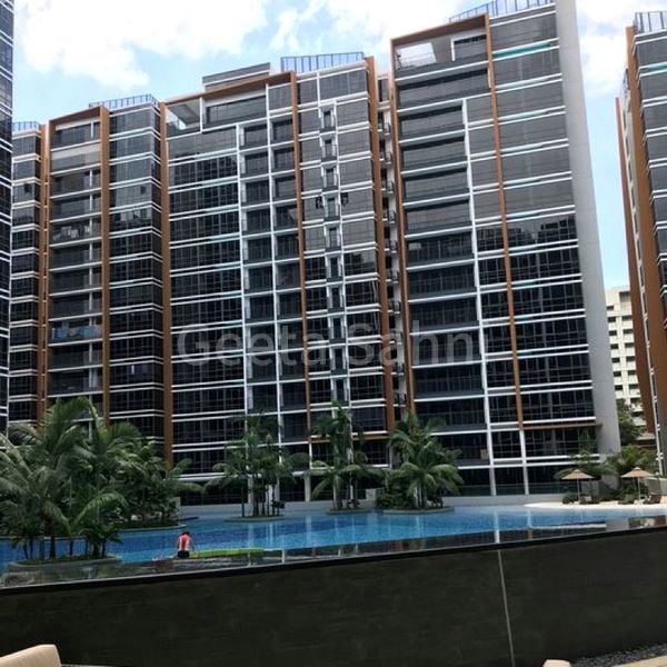 Common Room (Condo) for Rent in Coco Palms - Image 8