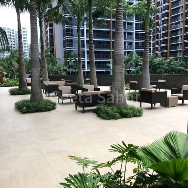 Common Room (Condo) for Rent in Coco Palms - Image 6