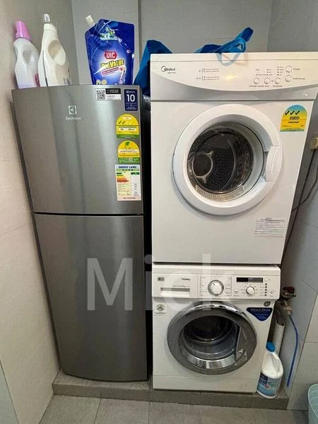 Common Room (Condo) for Rent in  Koon Seng Road - Image 4