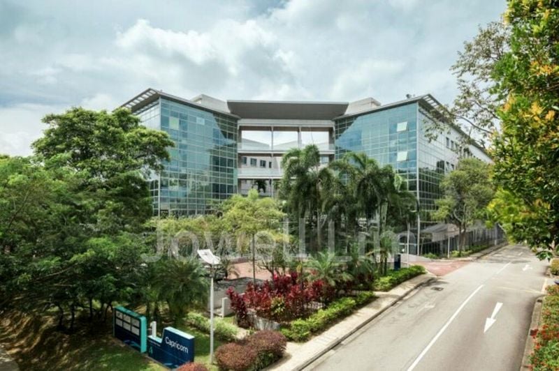 The Capricorn - Image 3