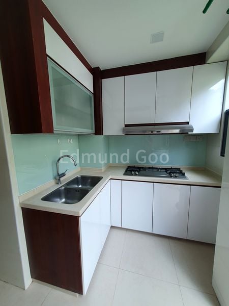 2+1 Bed Condo for Rent in  Mendon Spring - Image 12