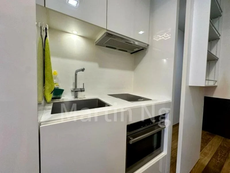 Studio Condo for Rent in  Skysuites @ Anson - Image 10