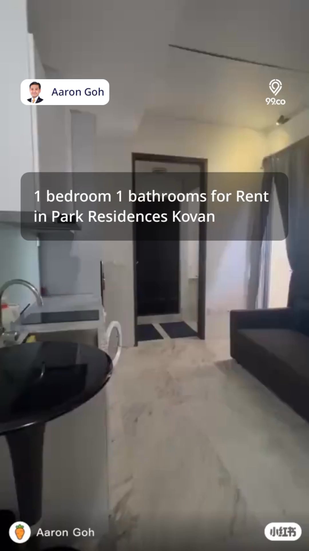 1 Bed Apartment (Condo) for Rent in  Park Residences Kovan - Image 8