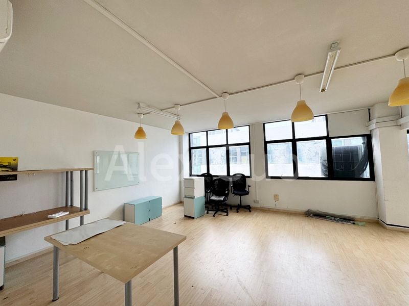 Factory / Workshop (B2) for Rent: Shun Li Industrial Park - Image 7