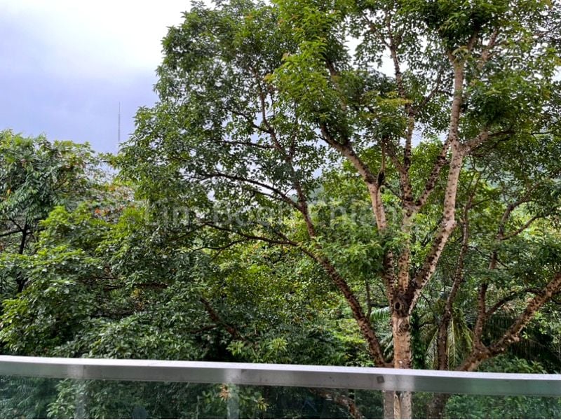 3 Bed Condo for Rent in The Raintree - Image 3