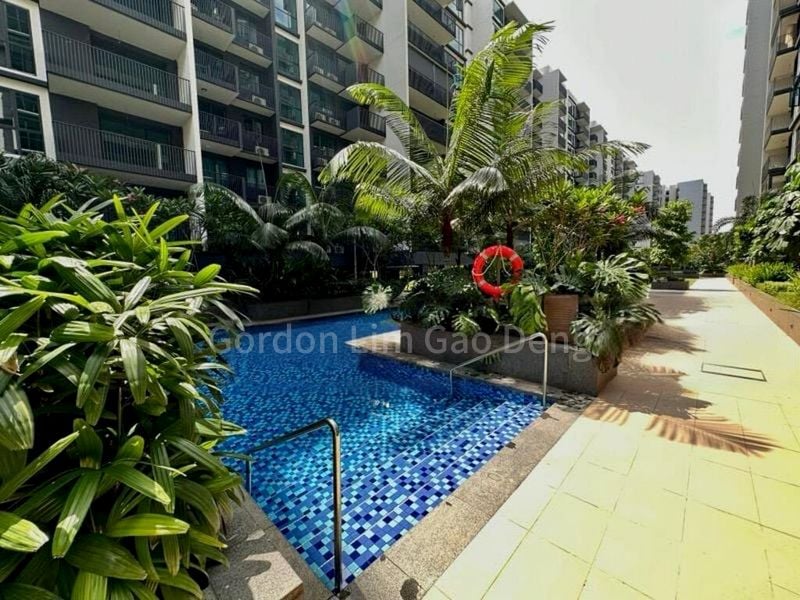 Common Room (Condo) for Rent in  Treasure at Tampines - Image 10