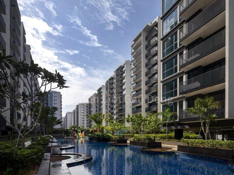 Common Room (Condo) for Rent in  Treasure at Tampines - Image 8