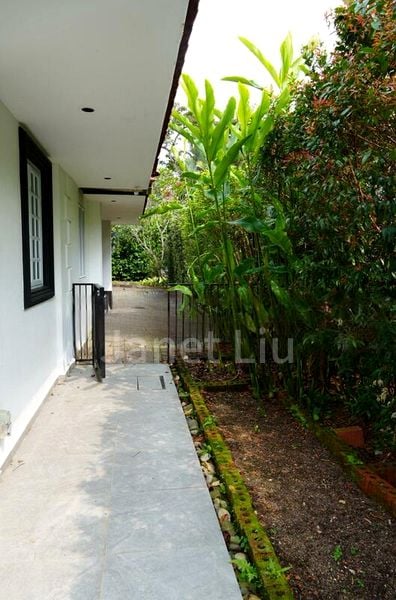 4 Bed Bungalow (Landed) for Rent in  Dunearn Estate - Image 14