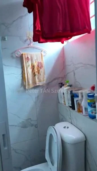 Master Room (Condo) for Rent in  Sherwood Towers / Bukit Timah Plaza - Image 3