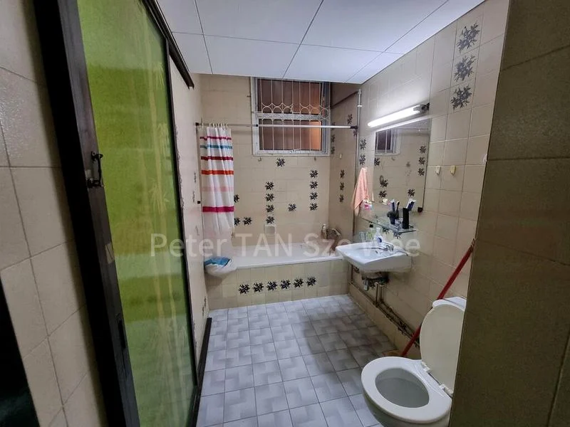 Master Room (Condo) for Rent in  Sherwood Towers / Bukit Timah Plaza - Image 6