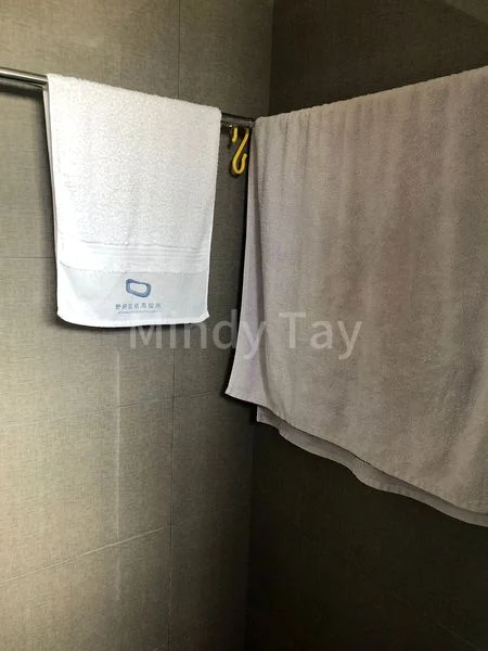 Master Room (HDB) for Rent in 233 Simei Street 4 - Image 2