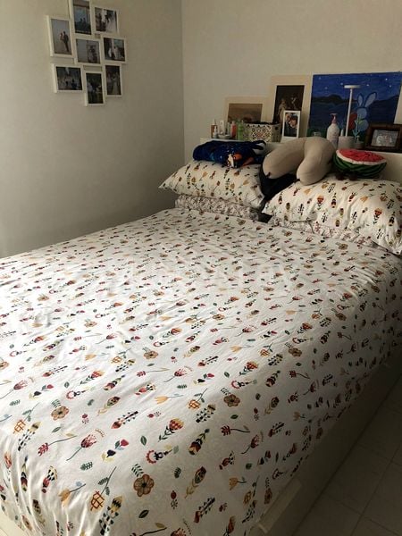 Master Room (HDB) for Rent in 233 Simei Street 4 - Image 4