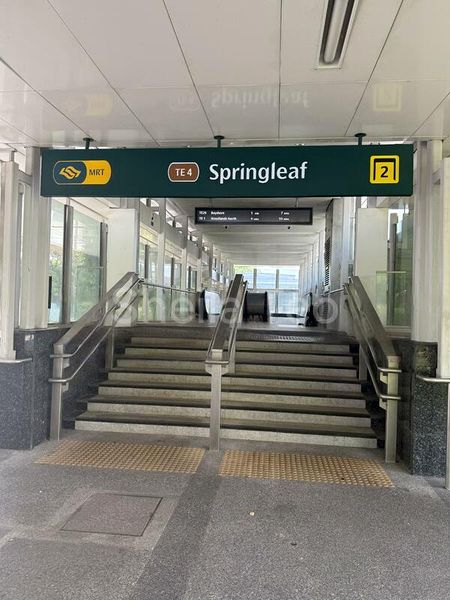 Shop / Shophouse for Rent: Shophouse near Springleaf MRT - Image 3