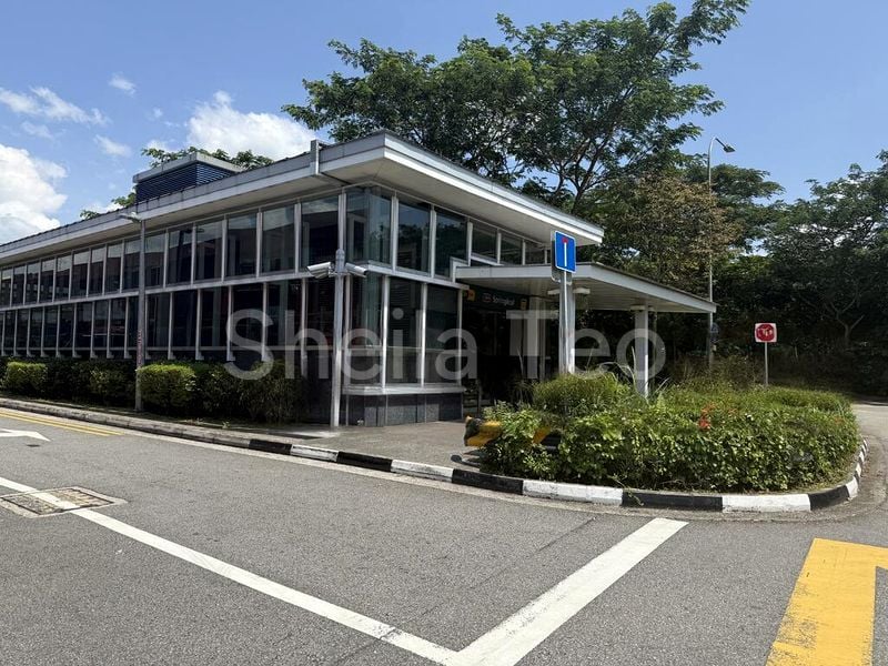 Shop / Shophouse for Rent: Shophouse near Springleaf MRT - Image 2