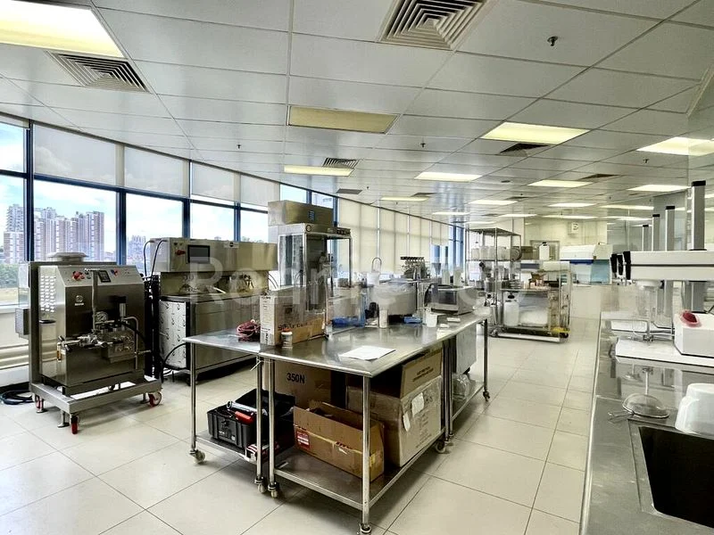 Light Industrial (B1) for Rent: New Tech Park - Image 5