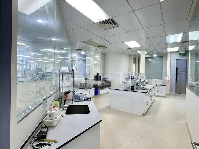 Light Industrial (B1) for Rent: New Tech Park - Image 10