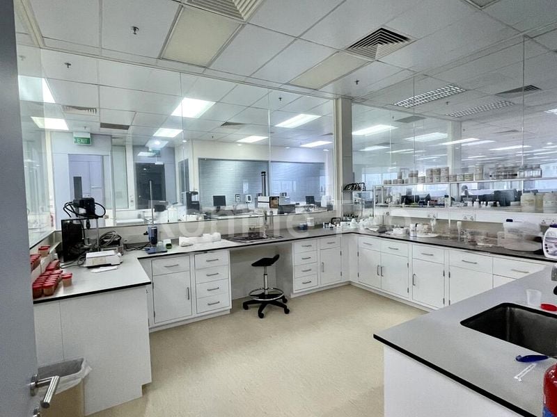 Light Industrial (B1) for Rent: New Tech Park - Image 6