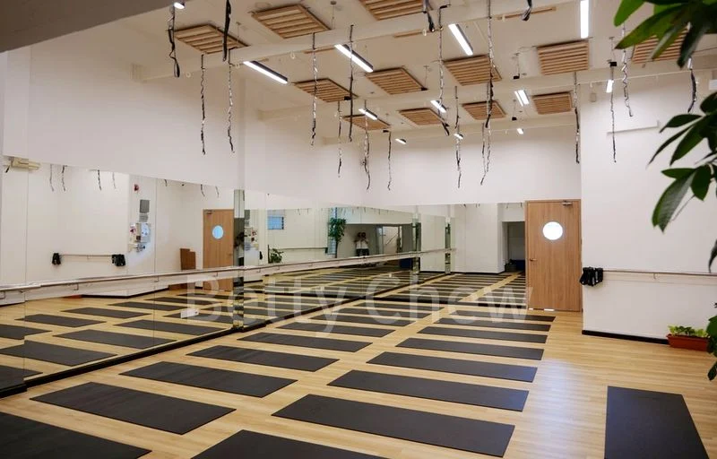 Shop / Shophouse for Rent in Yew Lian Park - Image 2