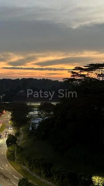 4 Room (4A) HDB for Sale in  92B Telok Blangah Street 31 - Image 1