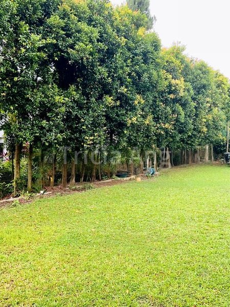 6 Bed Bungalow (Landed) for Sale in  Bin Tong Park - Image 4