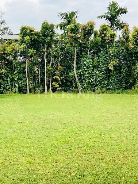 6 Bed Bungalow (Landed) for Sale in  Bin Tong Park - Image 6