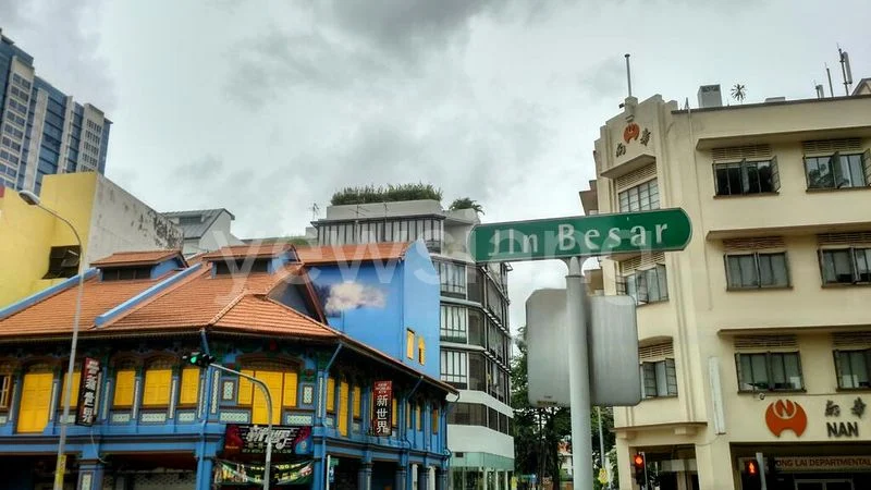 Shop / Shophouse for Sale: 3 Adjoining Shophouses on Syed Alwi Road - Image 1