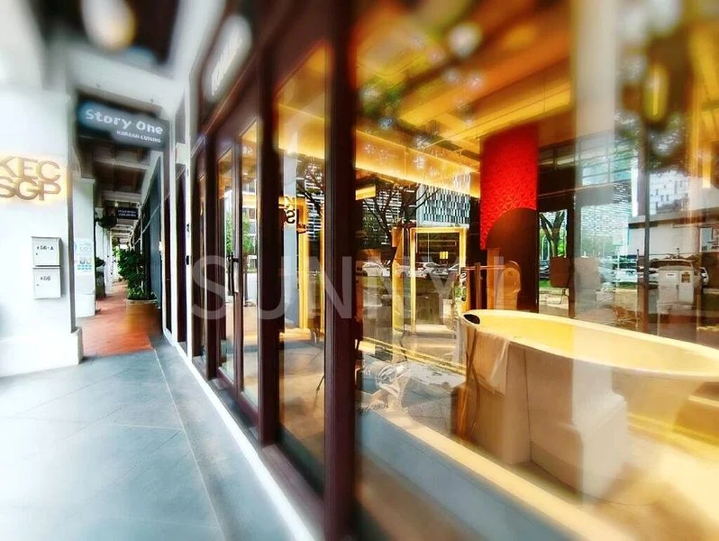 Shop / Shophouse for Sale: Prime Tras Street 3.5-Storey Shophouse, near Tanjong Pagar MRT - Image 17