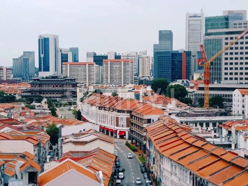 Shop / Shophouse for Sale: Prime Tras Street 3.5-Storey Shophouse, near Tanjong Pagar MRT - Image 11