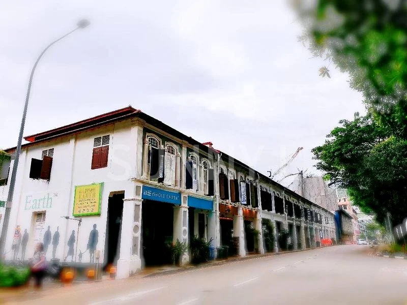 Shop / Shophouse for Sale: Prime Tras Street 3.5-Storey Shophouse, near Tanjong Pagar MRT - Image 16
