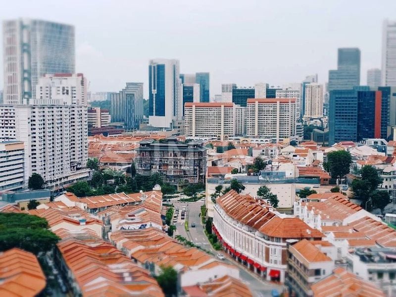 Shop / Shophouse for Sale: Prime Tras Street 3.5-Storey Shophouse, near Tanjong Pagar MRT - Image 13