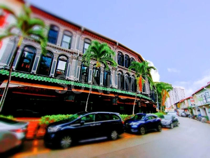 Shop / Shophouse for Sale: Prime Tras Street 3.5-Storey Shophouse, near Tanjong Pagar MRT - Image 9