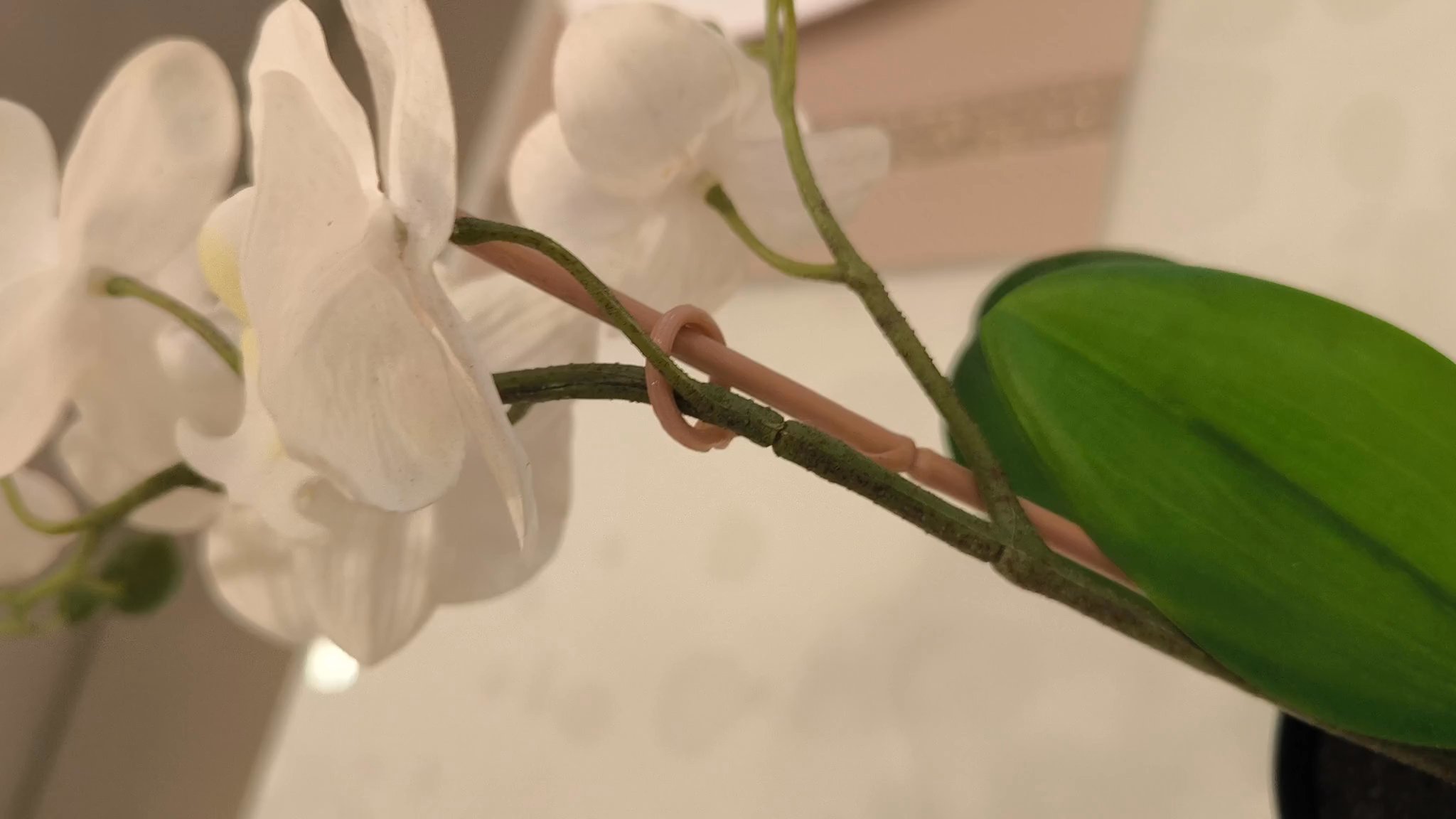 5 Room (5STD) HDB for Sale in  106A Depot Road - Image 17