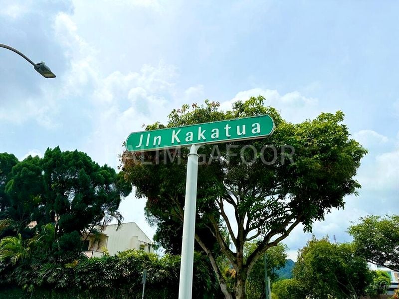 10 Bed Bungalow (Landed) for Sale in Regina Hill - Image 2