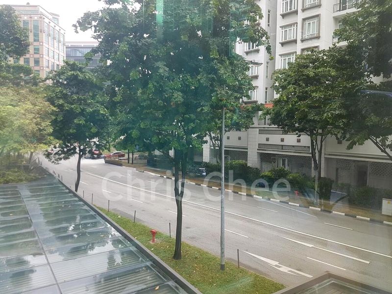 Other Retail for Rent: SHOP / VET CLINIC / GYM @ MOHD SULTAN - Image 5