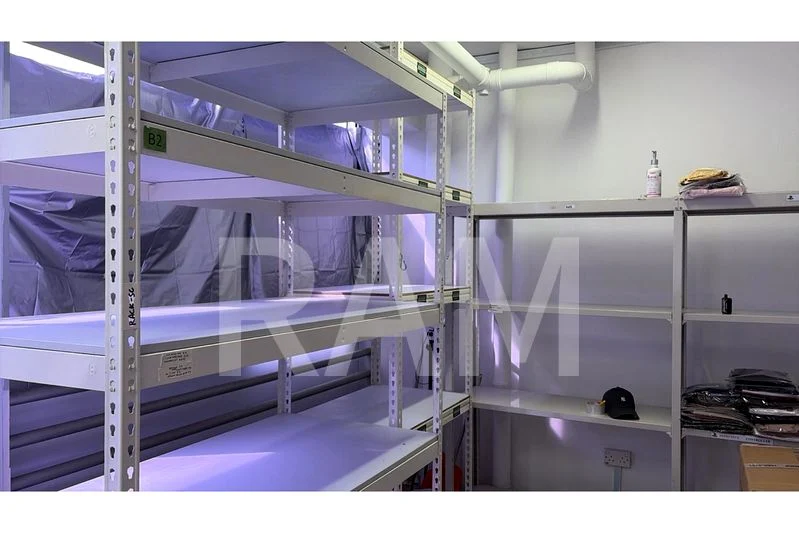 Factory / Workshop (B2) for Rent in Ys-One - Image 7