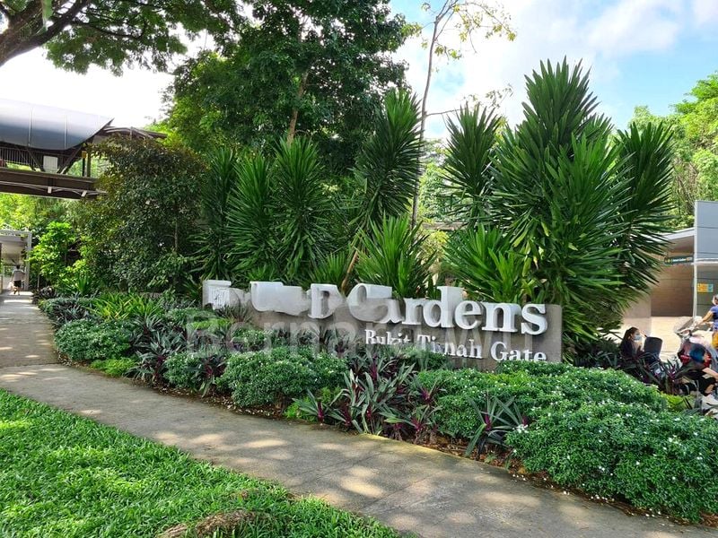 4 Bed Condo for Sale in  Duchess Residences - Image 15